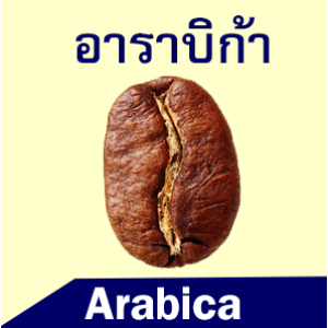 ARABICA COFFEE