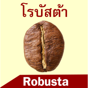 ROBUSTA COFFEE ROBUSTA COFFEE